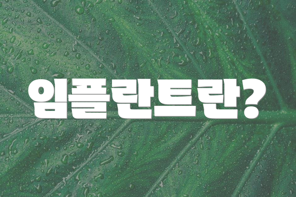 임플란트란?