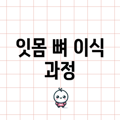 잇몸 뼈 이식 과정