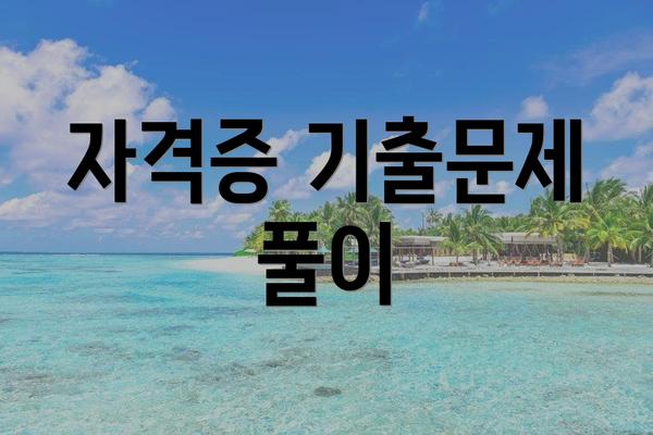 자격증 기출문제 풀이