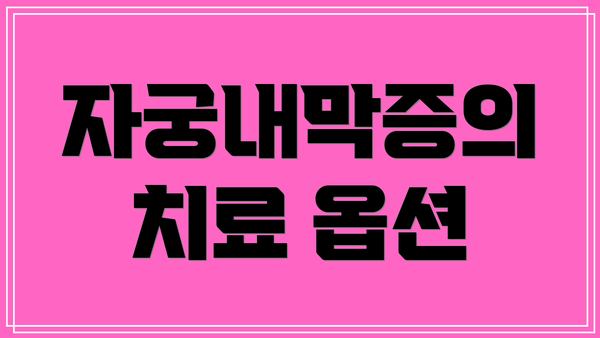 자궁내막증의 치료 옵션