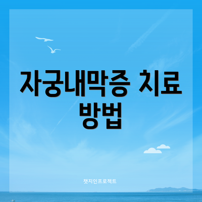 자궁내막증 치료 방법