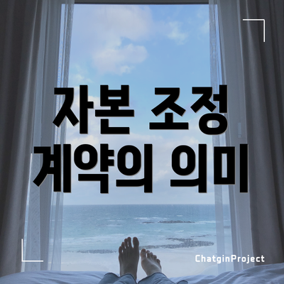 자본 조정 계약의 의미