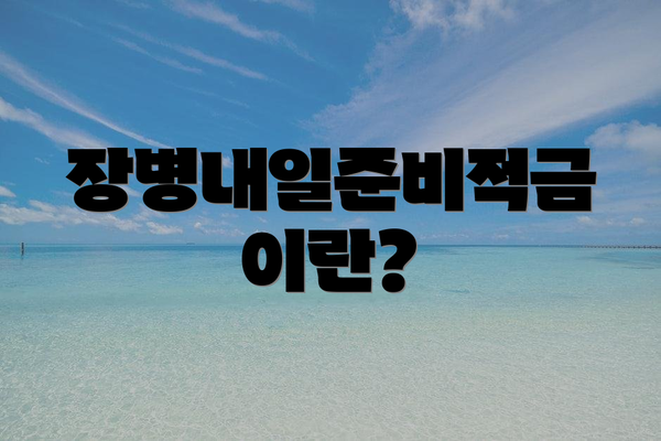 장병내일준비적금이란?