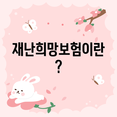 재난희망보험이란?