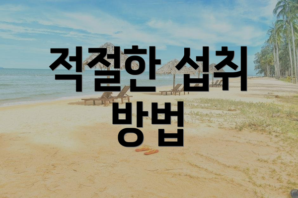 적절한 섭취 방법
