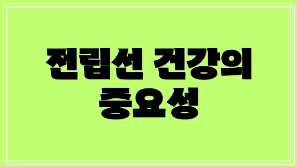 전립선 건강의 중요성