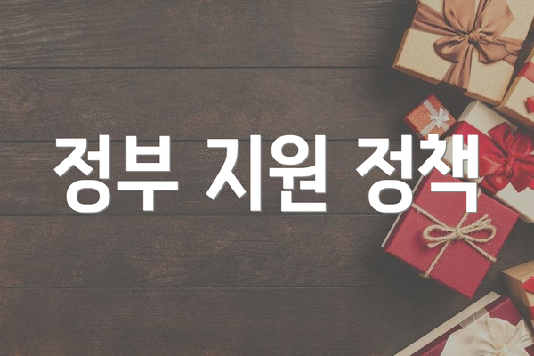 정부 지원 정책