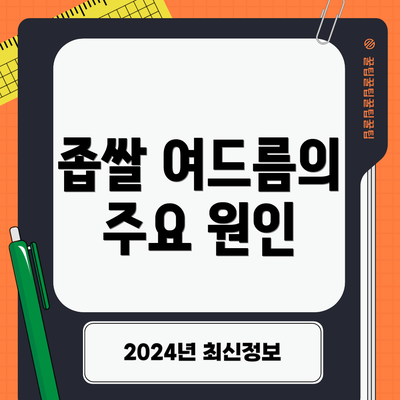 좁쌀 여드름의 주요 원인