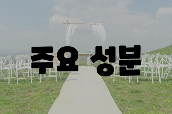 주요 성분