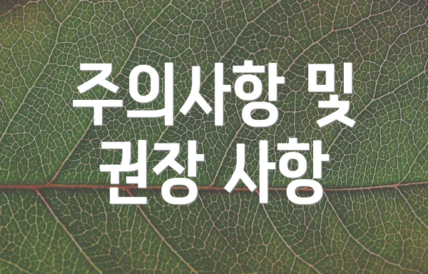 주의사항 및 권장 사항