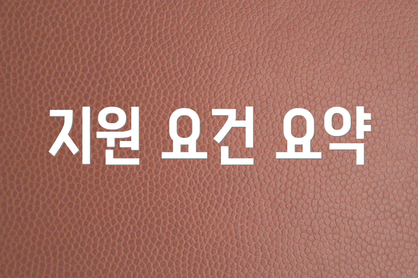 지원 요건 요약