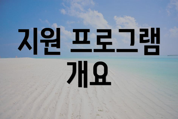 지원 프로그램 개요