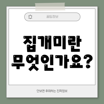 집개미란 무엇인가요?