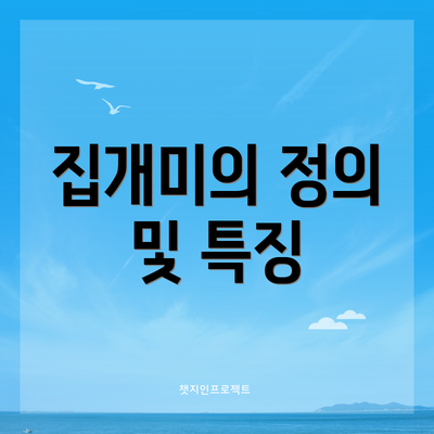 집개미의 정의 및 특징
