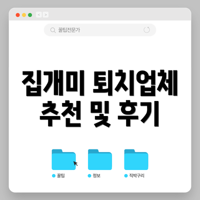 집개미 퇴치업체 추천 및 후기