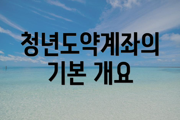 청년도약계좌의 기본 개요
