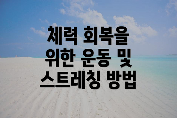 체력 회복을 위한 운동 및 스트레칭 방법