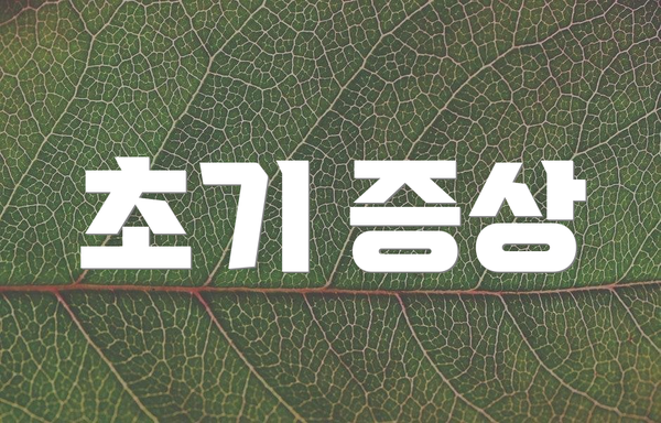 초기 증상
