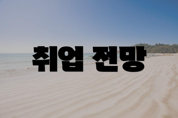 취업 전망