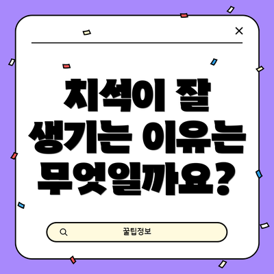 치석이 잘 생기는 이유는 무엇일까요?