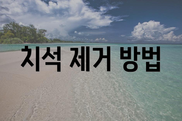 치석 제거 방법