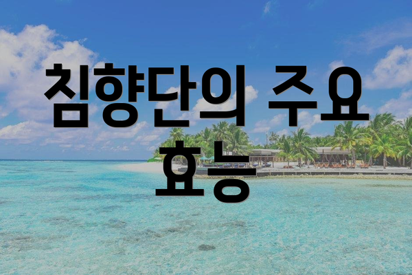 침향단의 주요 효능