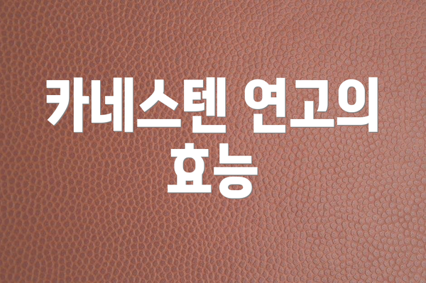 카네스텐 연고의 효능