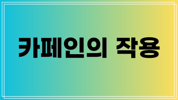 카페인의 작용