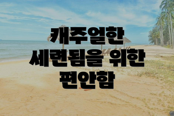 캐주얼한 세련됨을 위한 편안함