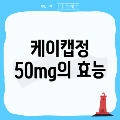 케이캡정 50mg의 효능