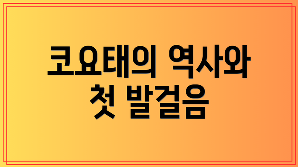 코요태의 역사와 첫 발걸음