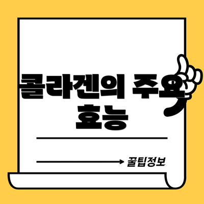 콜라겐의 주요 효능