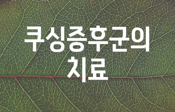 쿠싱증후군의 치료