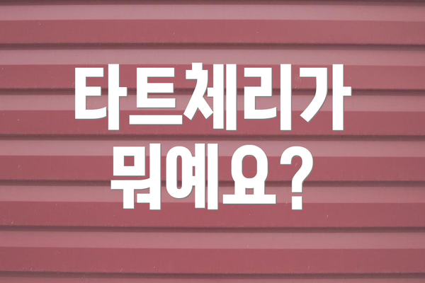 타트체리가 뭐예요?
