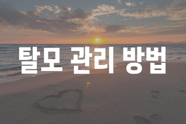 탈모 관리 방법