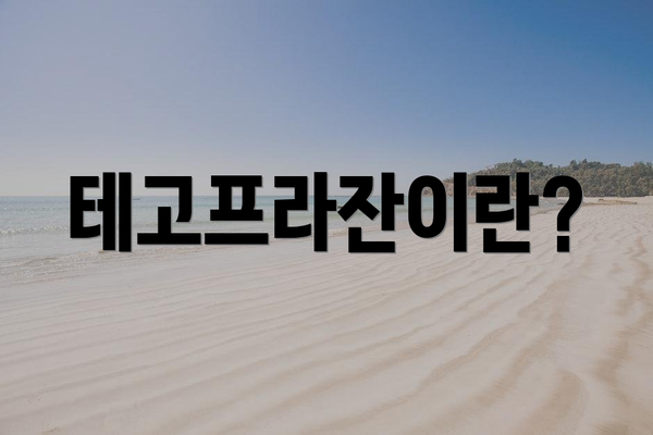 테고프라잔이란?