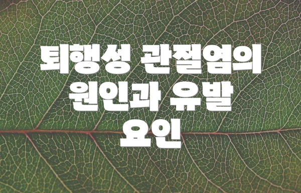 퇴행성 관절염의 원인과 유발 요인