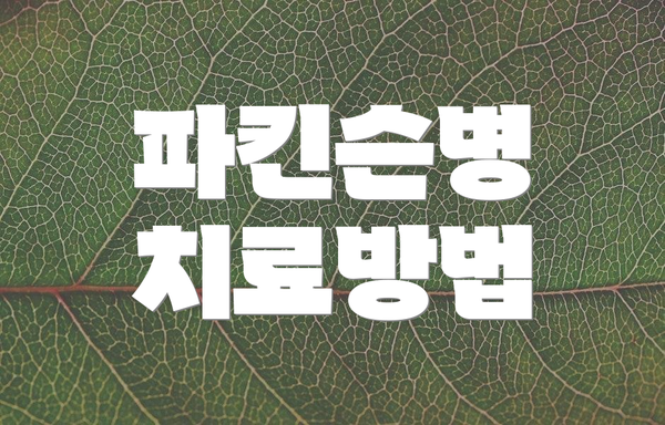 파킨슨병 치료방법