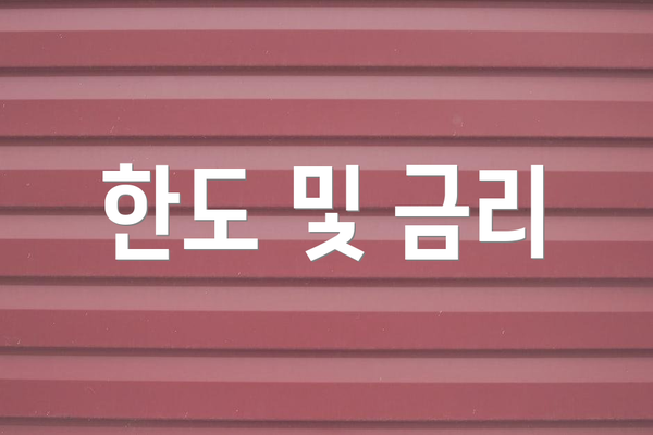 한도 및 금리