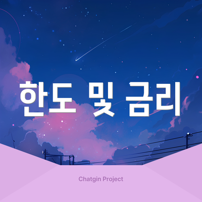 한도 및 금리