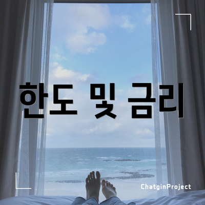 한도 및 금리