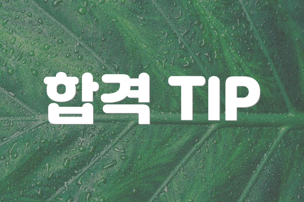 합격 TIP