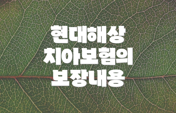 현대해상 치아보험의 보장내용