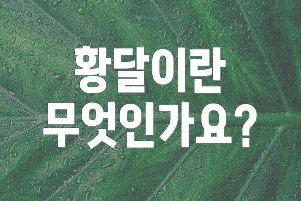 황달이란 무엇인가요?