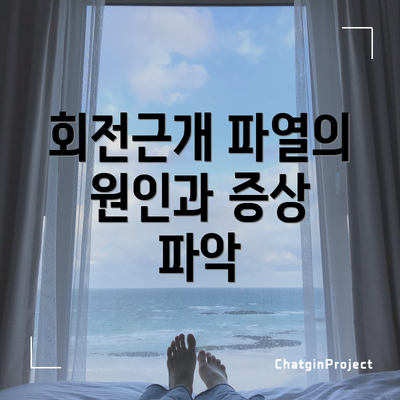 회전근개 파열의 원인과 증상 파악