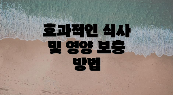 효과적인 식사 및 영양 보충 방법