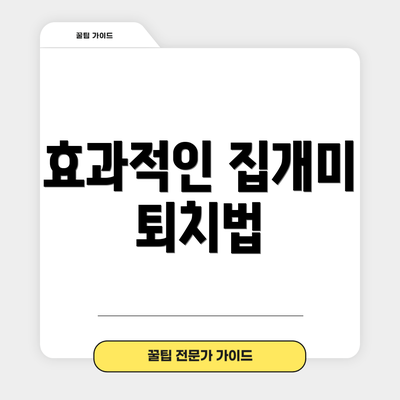 효과적인 집개미 퇴치법