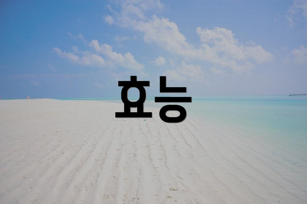 효능