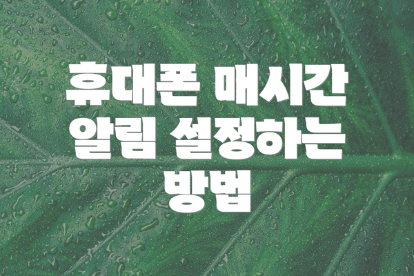 휴대폰 매시간 알림 설정하는 방법