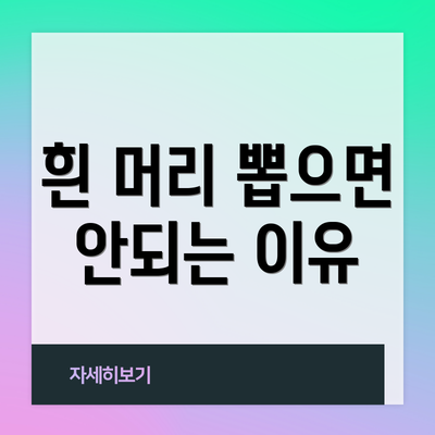 흰 머리 뽑으면 안되는 이유